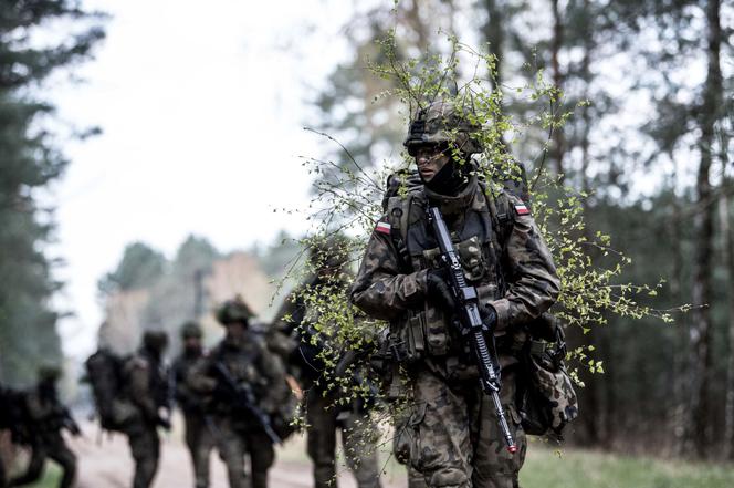 Powołania do podkarpackich Wojsk Obrony Terytorialnej