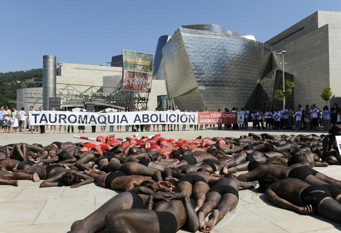 Protest przeciwko korridzie