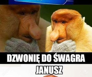 Memy na Dzień Szwagra 