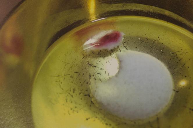 Cud w Legnicy to przestroga od Boga