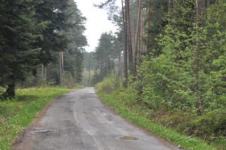 Świnia Góra idealna na wycieczkę lub biwak