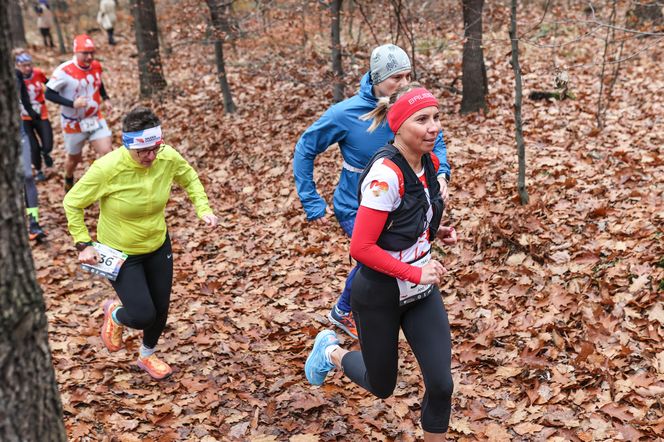 Katowicki City Trail jak zwykle ze znakomitymi biegaczami i biegaczkami. Zobacz zdjęcia ze sportowej imprezy