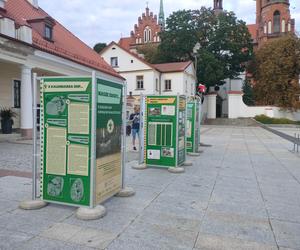 Wystawa „Nasze zuchy… Z dziejów ZHP Chorągwi Białostockiej” z okazji 100-lecia Chorągwi.