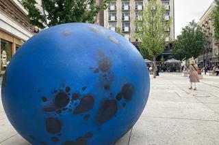 Pisklę. Drozda Śpiewaka