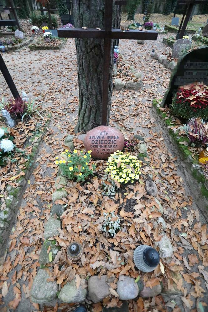 Jak wygląda grób Ireny Dziedzic?