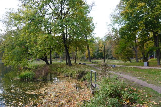 Park Lubomirskich w Białymstoku jesienią 