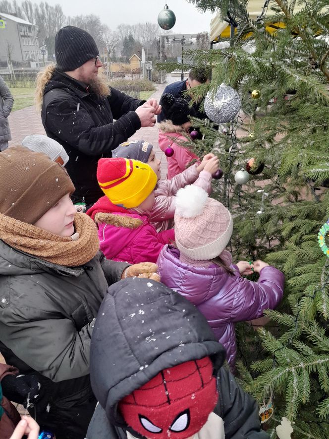 Na rynku w Mordach stanęła choinka