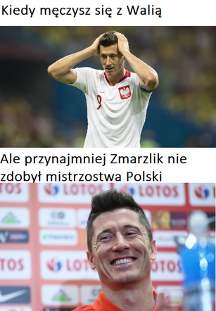 MEMY po meczu Walia - Polska