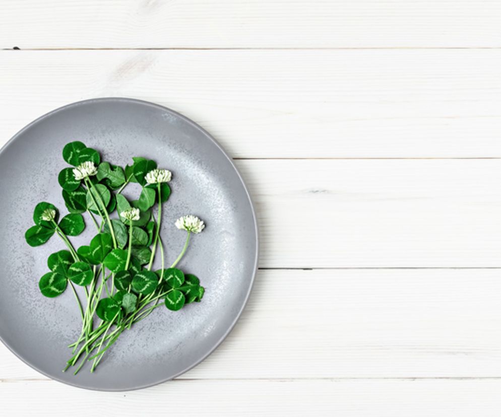 Koniczynę można jeść!