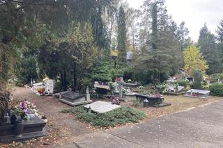 1 listopada - zmiany w organizacji ruchu w okolicach cmentarzy na Wszystkich Świętych