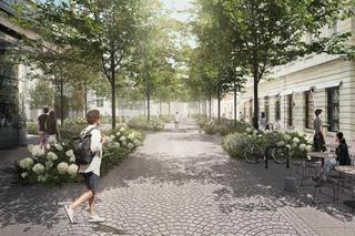 Warszawa. Chmielna się zazieleni. Znamy wykonawcę przebudowy reprezentacyjnej ulicy
