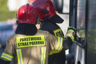 Pożar autobusu miejskiego w Zabrzu. Kierowca próbował ugasić silnik, doznał urazu dłoni