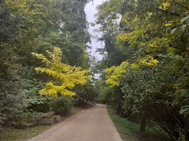 Arboretum Bolestraszyce