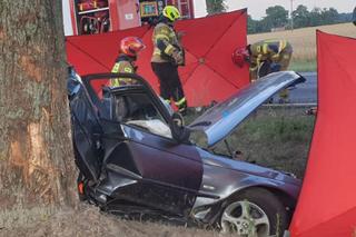 Śmiertelny wypadek pod Zgierzem. Dwóch mężczyzn zginęło w roztrzaskanym BMW. Policja szuka świadków 