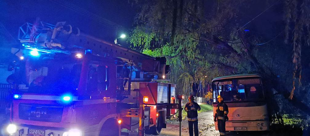 Wichura powaliła drzewo na autobus