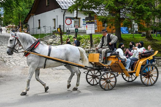 Arabowie szturmują Zakopane. Ten filmik to hit internetu. "Dosłownie tak to wygląda"