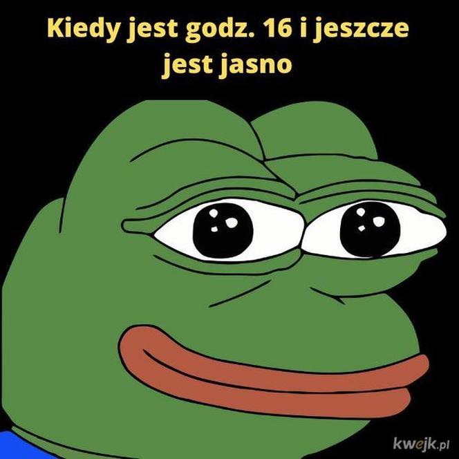 Memy na wiosnę 2023. Te najlepsze obrazki rozbawią Cię do łez!