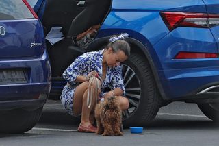 Anna Mucha w kusej sukience kuca na środku ulicy i poi psa! Rozczulające zdjęcia gwiazdy M jak miłość