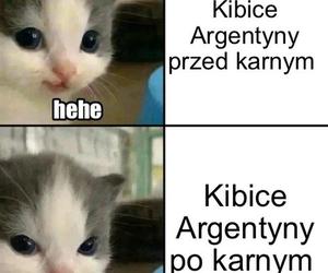 Polska - Argentyna: Najlepsze memy