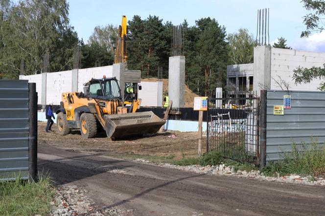 Warszawa. Na terenie budowy liceum wyrósł rdestowiec. W jaki sposób dzielnica radzi sobie z tą inwazyjną rośliną?