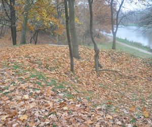 Jesień na Osiedlu Świętokrzyskim i Szydłówku w Kielcach