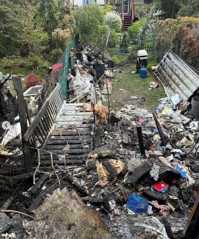 Magda Gessler prosi o pomoc