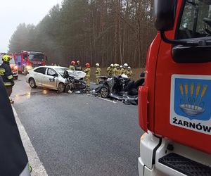 W koszmarnym wypadku na DK74 ucierpiało 6 osób, wśród nich studenci Politechniki Łódzkiej. Pilnie potrzebują krwi