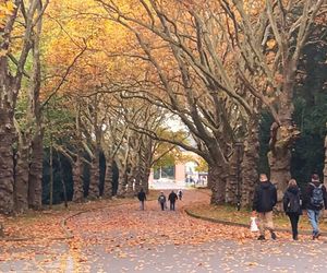 Przygotowania do 1 listopada na Cmentarzu Centralnym w Szczecinie