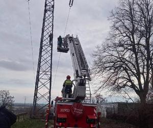 Skuteczna akcja gorzowskich policjantów