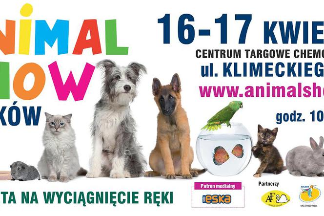 Animal Show Kraków