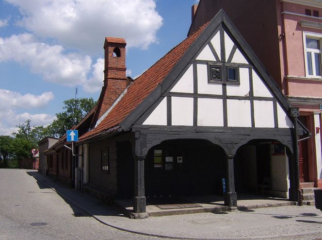 Golub Dobrzyń