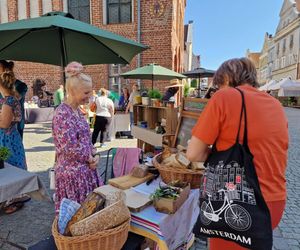 Stare Miasto w Olsztynie tętniło życiem. Zobacz, co działo się w weekend!