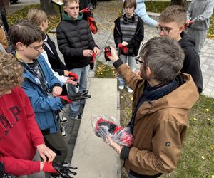 Uczniowie sadzili żonkile przy skwerze pamięci