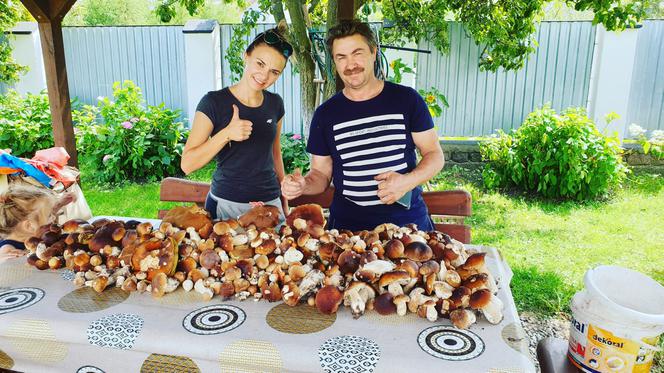 Grzyby już wychodzą z lasu