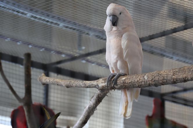 ZooPark ponownie przyciągnął do Targów Lublin tłumy miłośników zwierząt