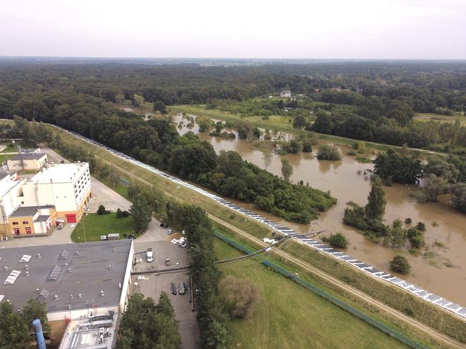 Wrocław Janówek - rozlana Bystrzyca i oczyszczalnia ścieków