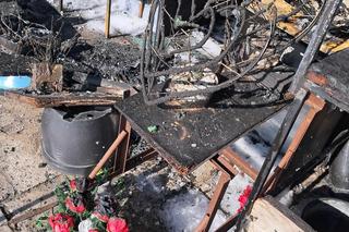 Tragiczny finał pożaru w Toruniu. Ogień pojawił się niespodziewanie, zginął piesek