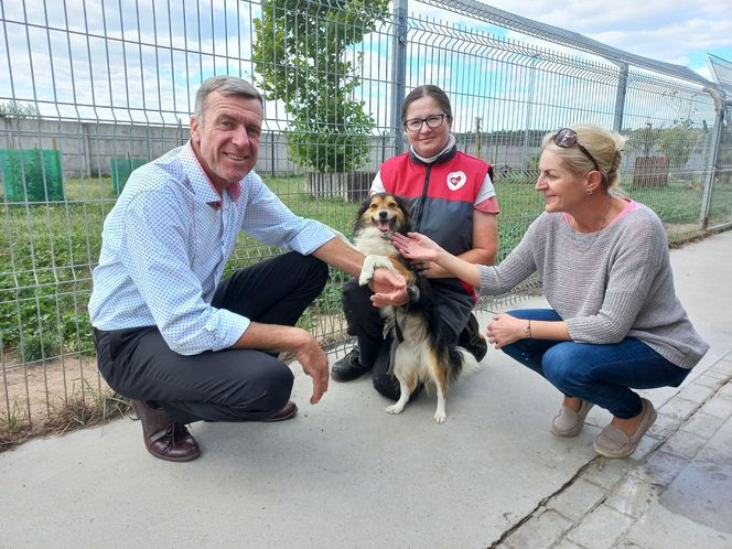 W schronisku dla zwierząt w Henrykowie koło Leszna montują markizy. Dadzą psom cień w gorące dni