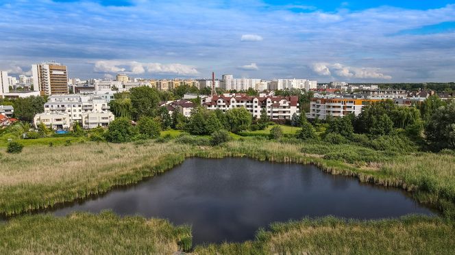 A tak wyglądało to samo miejsce jeszcze w 2020 roku