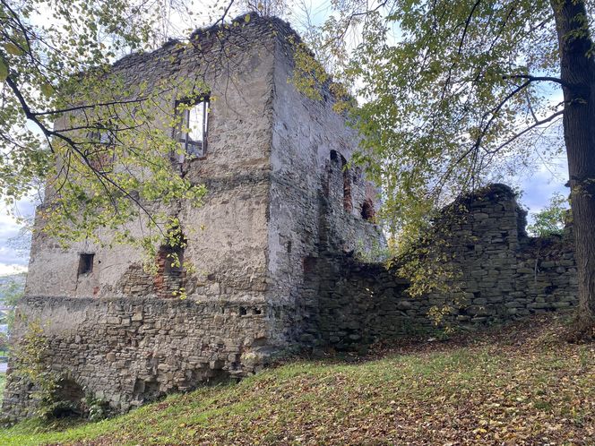 Zamek w Dąbrówce Starzeńskiej