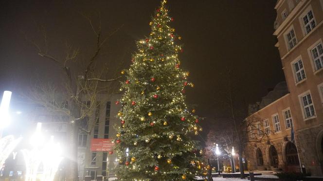 Świąteczne iluminacje w Olsztynie zachwycają. Prawdziwą „gwiazdą” jest choinka na starówce [ZDJĘCIA]