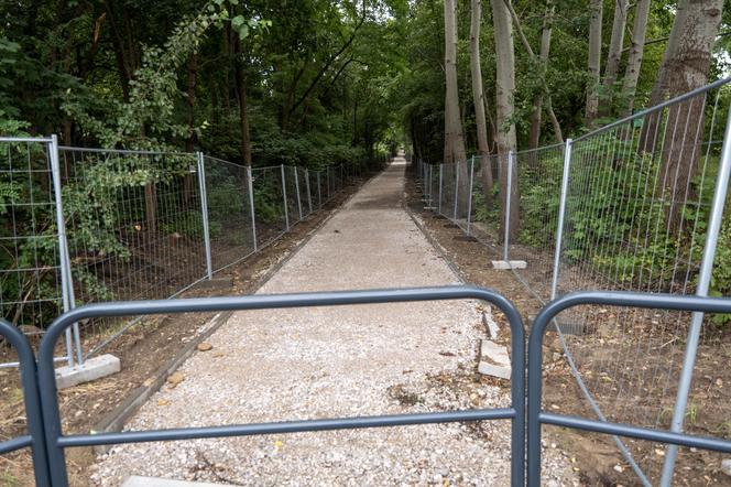 Powstaje nowa droga rowerowa! Sprawdź, jak przebiegają prace na Księżym Młynie [ZDJĘCIA]