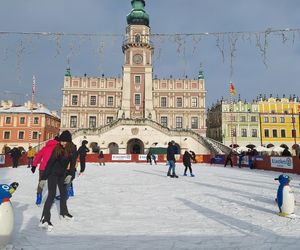 Zamojskie lodowisko  w sezonie  2024- 2025