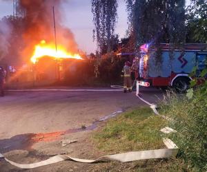 Kolejny pożar altany na ogródkach działkowych w Katowicach. Spłonęła doszczętnie