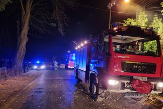 Pożar domu jednorodzinnego pod Mogilnem! Z budynku nic nie zostało