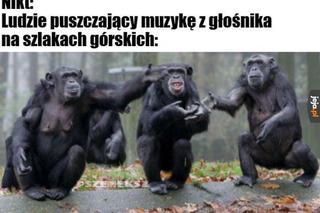 Najlepsze memy o turystach w górach. Te obrazki znane z Tatr bawią do łez 