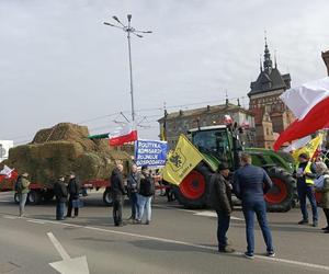Rolnicy na ulicach Gdńska