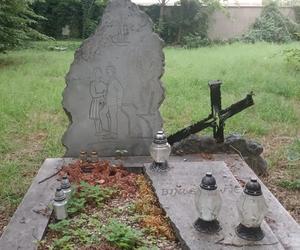 Opuszczony cmentarz w Opolu niszczeje coraz bardziej