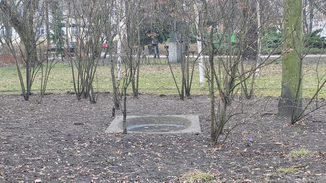 Park Kochanowskiego w Bydgoszczy, czyli serce bydgoskiej Dzielnicy Muzycznej!