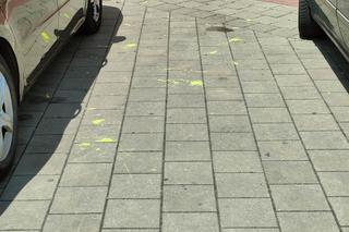 Wandale zniszczyli stadion Widzewa! Sprawę analizuje policja